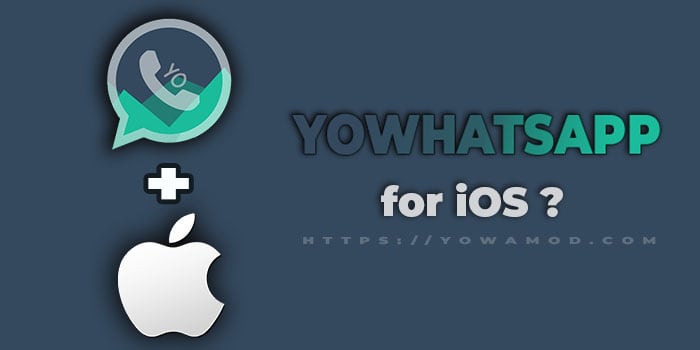 yowhatsapp-for-iphone-ios