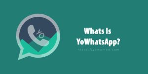 what-is-yowhatsapp